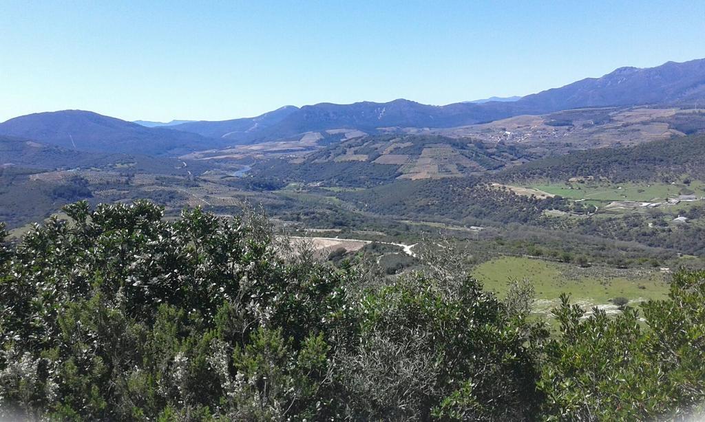 Hotel Rural Sierra De Francia Sotoserrano 외부 사진