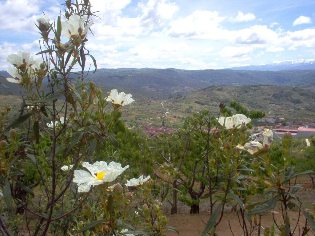 Hotel Rural Sierra De Francia Sotoserrano 외부 사진